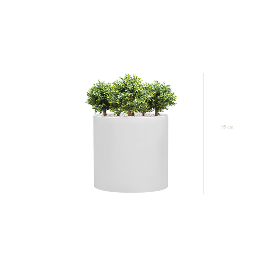 [AE-PT8-FB26] The small Boxwood - White Cylinder Pot #Artificial #Outdoor