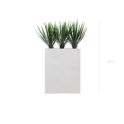 [AE-PT2-FB1] The Yuccas M. White Divider #Artificial #Outdoor