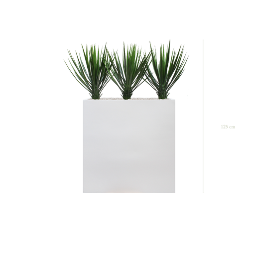 [AE-PT2-FB3] The Yuccas L. White Divider #Artificial #Outdoor