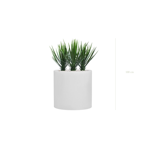 [AE-PT2-FB26] The Yuccas - White Cylinder Pot #Artificial #Outdoor