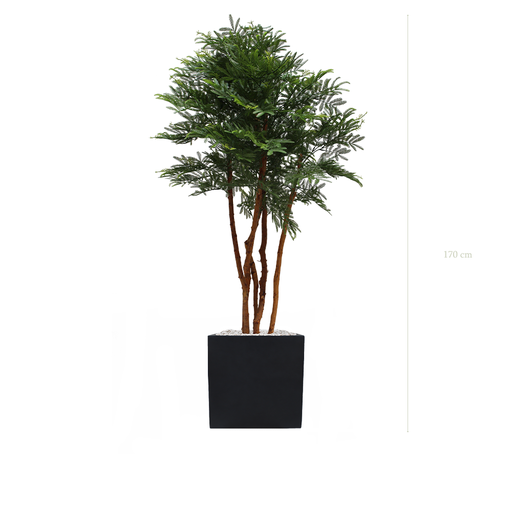 [AE-PT3-FB9] The Tamarind tree - Black Square Pot #Artificial #Outdoor