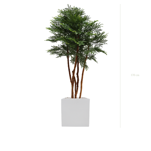 [AE-PT3-FB10] The Tamarind tree - White Square Pot #Artificial #Outdoor