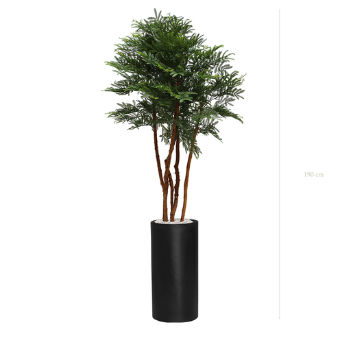[AE-PT3-FB17] The Tamarind tree - Tall Black Cylinder Pot #Artificial #Outdoor