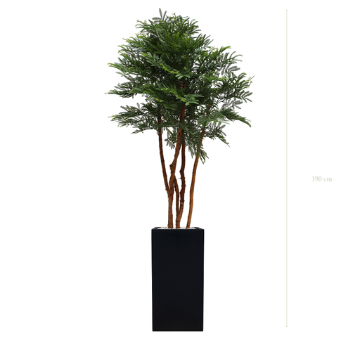 [AE-PT3-FB19] The Tamarind tree - Tall Black Cube Pot #Artificial #Outdoor