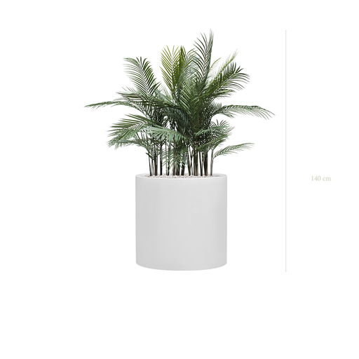 [AE-PT1-FB26] The Arecas - White Cylinder Pot #Artificial #Outdoor