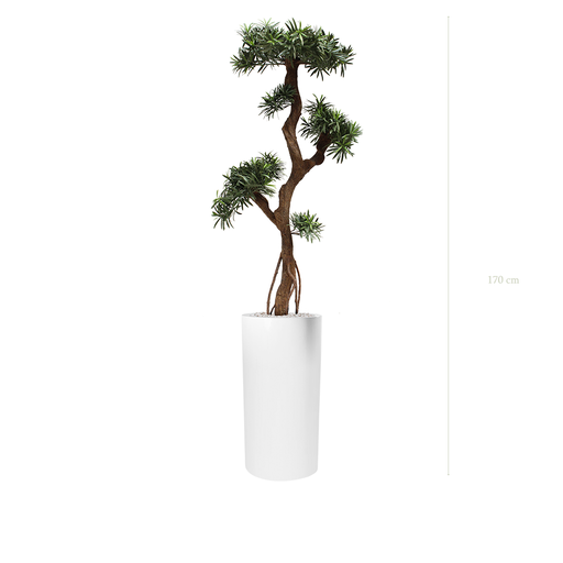 [AE-PT6-FB18] Le Podocarpus - Cylindre Haut Blanc #Extérieur #Artificiel 