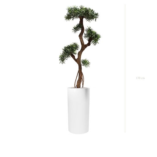 [AE-PT6-FB18] The Podocarpus - Tall White Cylinder Pot #Artificial #Outdoor