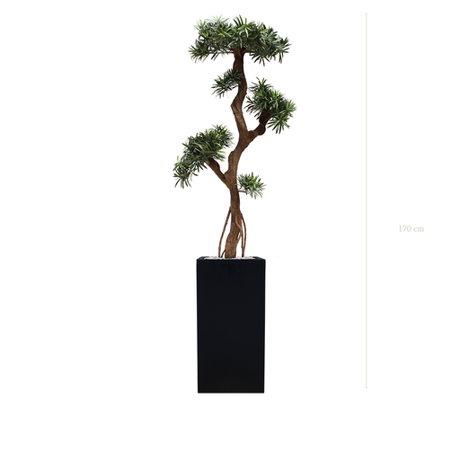 [AE-PT6-FB19] Le Podocarpus - Cube Haut Noir #Extérieur #Artificiel 