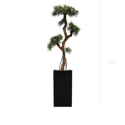 [AE-PT6-FB19] The Podocarpus - Tall Black Cube Pot #Artificial #Outdoor