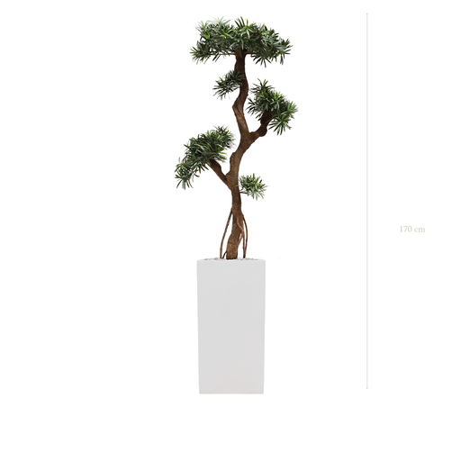 [AE-PT6-FB20] Le Podocarpus - Cube Haut Blanc #Extérieur #Artificiel 