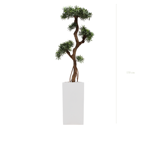 [AE-PT6-FB20] The Podocarpus - Tall White Cube Pot #Artificial #Outdoor
