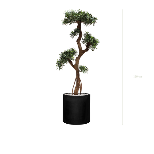 [AE-PT6-FB23] The Podocarpus - Black Cylinder Pot #Artificial #Outdoor