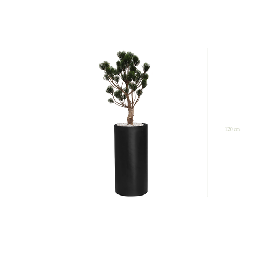 [AE-PT5-FB17] The Garigue Pine Tree - Tall Black Cylinder Pot #Artificial #Outdoor