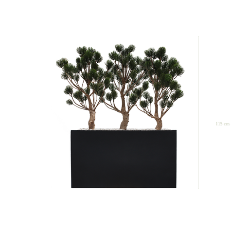 [AE-PT5-FB5] The Garigue Pine Tree S. Black Divider #Artificial #Outdoor
