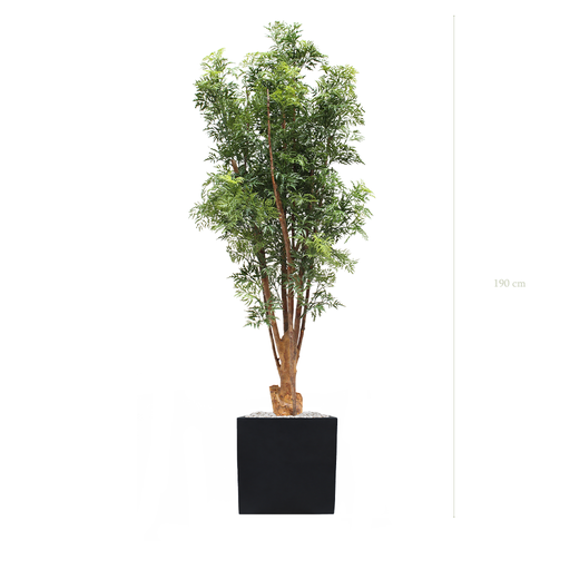 [AE-PT4-FB9] The Aralia - Black square pot - #Artificial #Outdoor