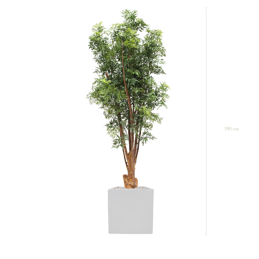 [AE-PT4-FB10] The Aralia - White square pot - #Artificial #Outdoor