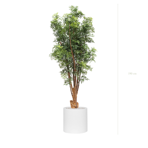 [AE-PT4-FB22] The Aralia - White cylinder pot - #Artificial #Outdoor