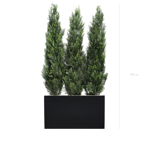 [AE-PT9-FB5] The Cypress S. Black Divider #Artificial #Outdoor