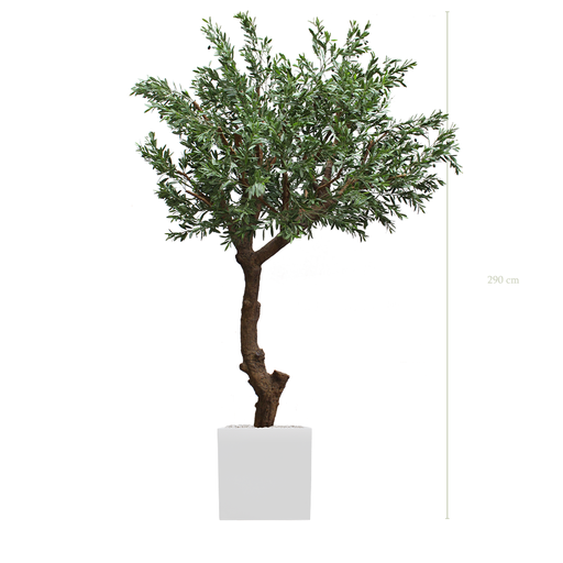 [AE-AB2-FB12] The Tall Olive tree - White Square Pot #Artificial #Outdoor