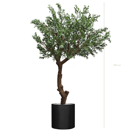 [AE-AB2-FB27] The Tall Olive tree - Black Cylinder Pot #Artificial #Outdoor